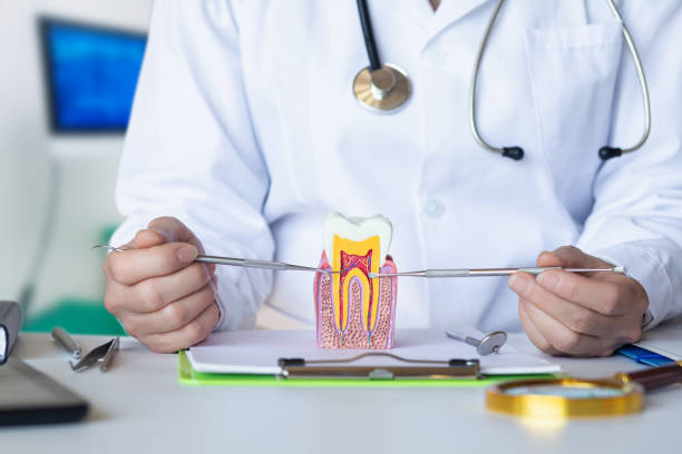 Best Orthodontic Emergency Dentist in Laurence Harbor, NJ